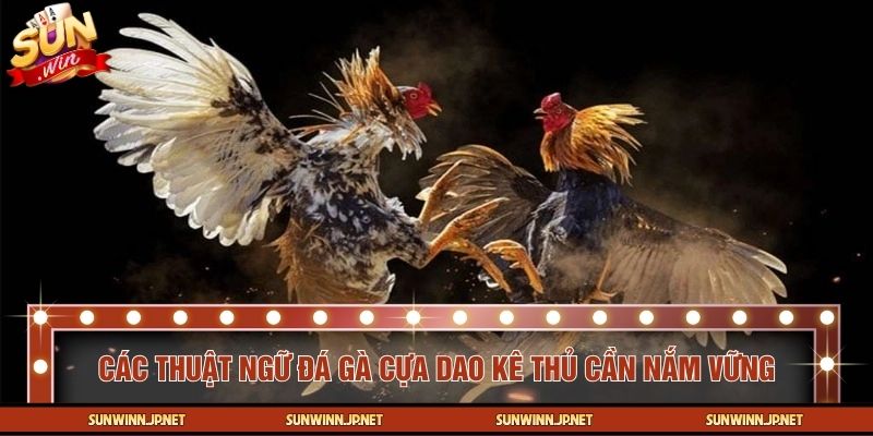 Cẩm nang thuật ngữ đá gà cựa dao cho kê thủ mới
