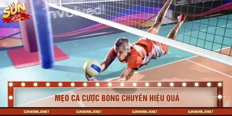 Mẹo cá cược bóng chuyền bạn nên ghi nhớ